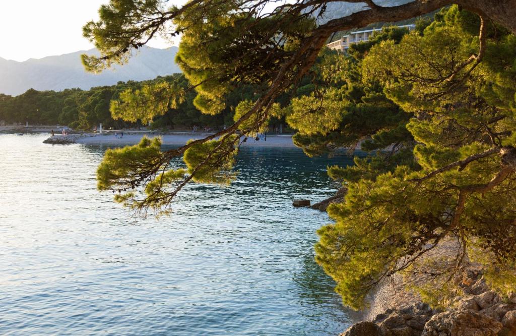 Prvomajski odmor na Jadranu – Brela