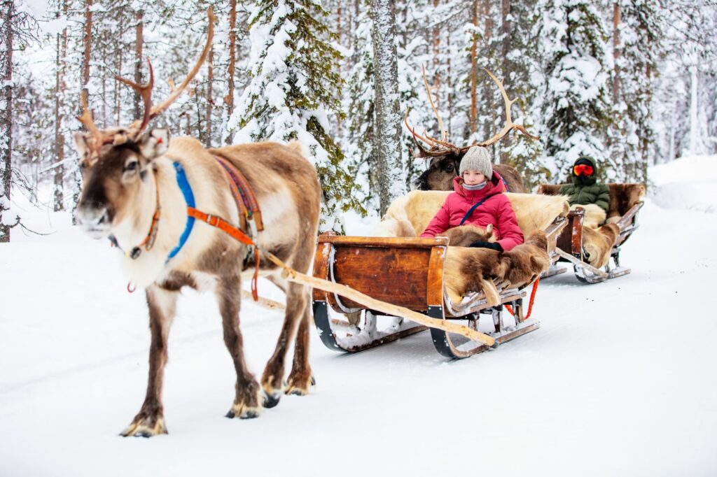Lov na Auroru Borealis u Norveškoj | Tromsø & Oslo | Već od 3.899 KM