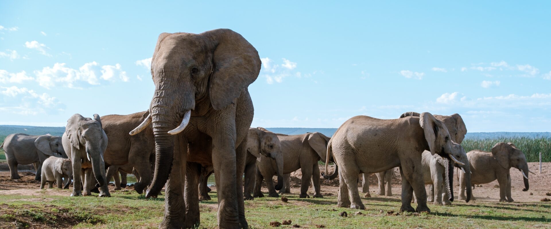 Južna Afrika – Cape Town i safari po Vašoj mjeri
